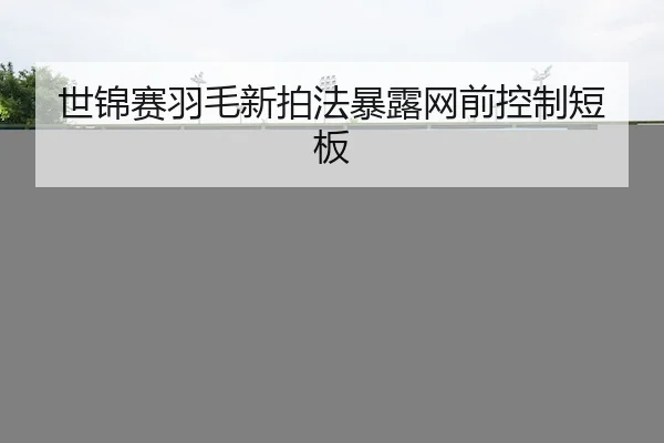 世锦赛羽毛新拍法暴露网前控制短板 - KAIYUN SPORTS